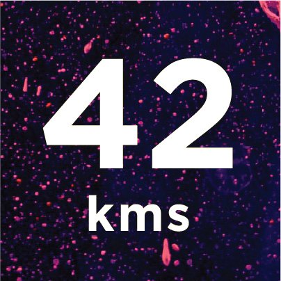 42kms
